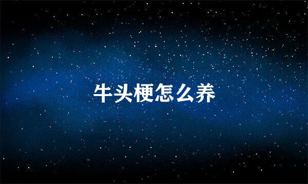 牛头梗怎么养