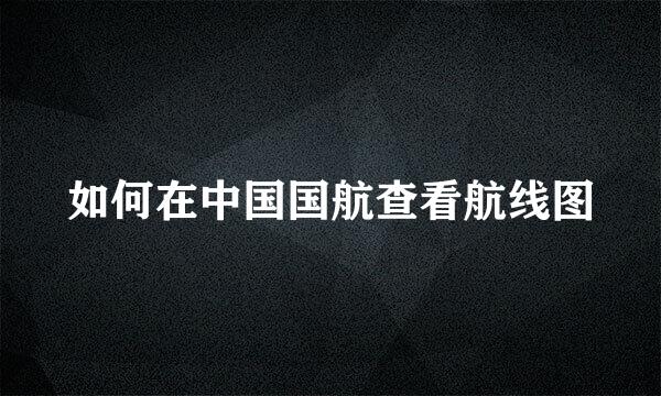 如何在中国国航查看航线图
