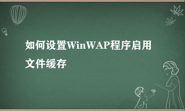 如何设置WinWAP程序启用文件缓存