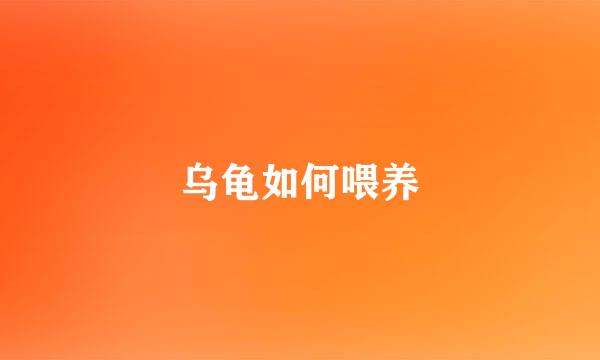 乌龟如何喂养