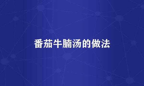 番茄牛腩汤的做法