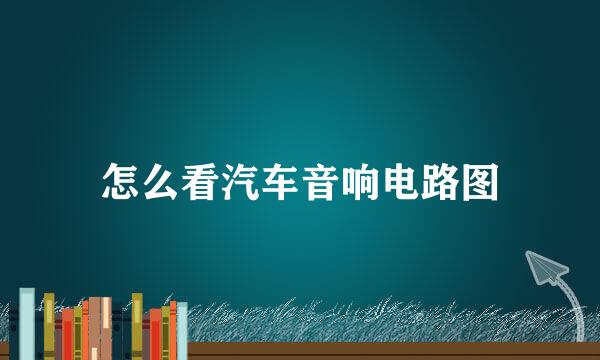 怎么看汽车音响电路图