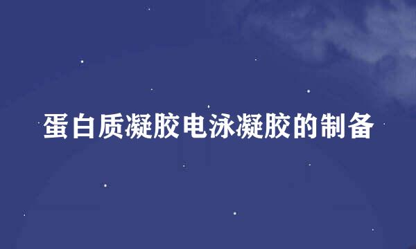 蛋白质凝胶电泳凝胶的制备