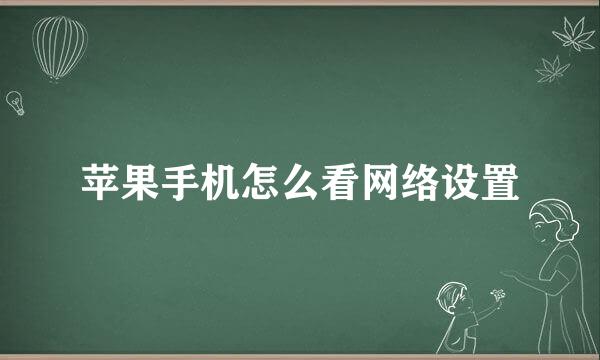 苹果手机怎么看网络设置