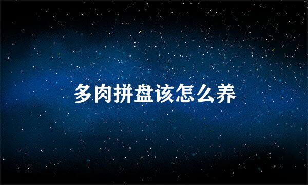 多肉拼盘该怎么养