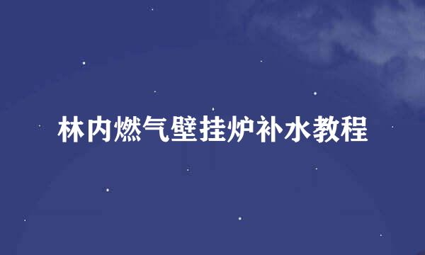 林内燃气壁挂炉补水教程