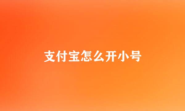支付宝怎么开小号