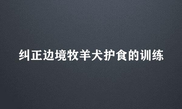 纠正边境牧羊犬护食的训练
