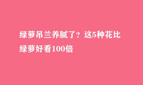 绿萝吊兰养腻了？这5种花比绿萝好看100倍