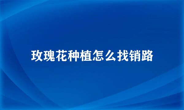 玫瑰花种植怎么找销路