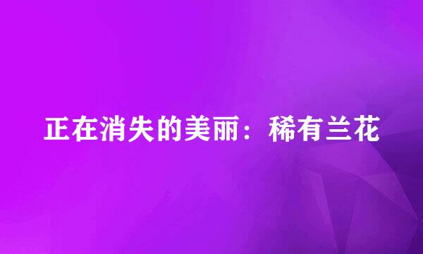 正在消失的美丽：稀有兰花
