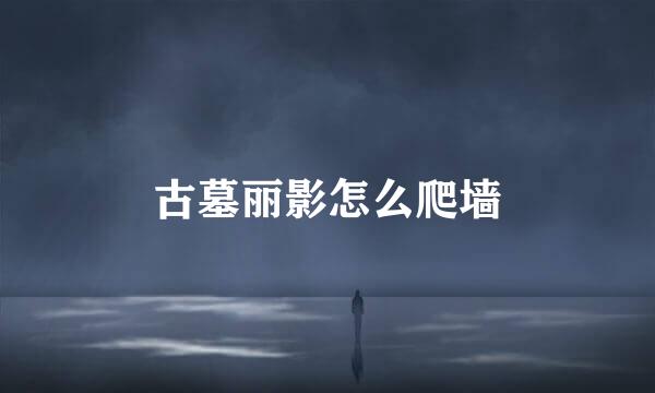 古墓丽影怎么爬墙