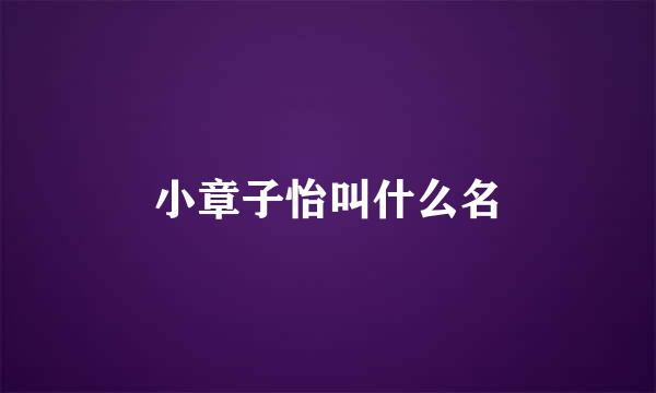小章子怡叫什么名