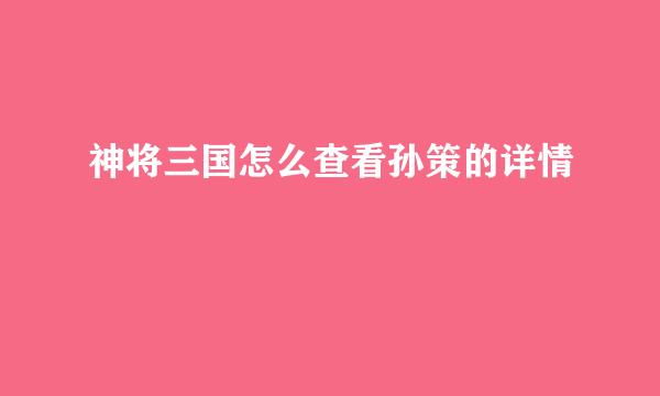 神将三国怎么查看孙策的详情