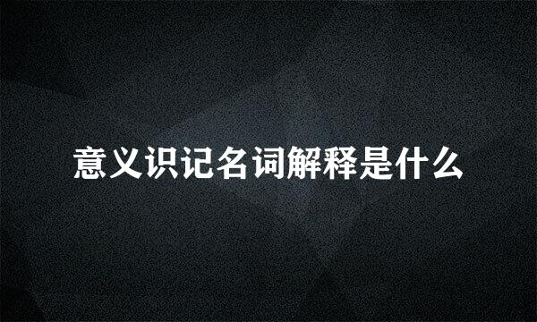 意义识记名词解释是什么