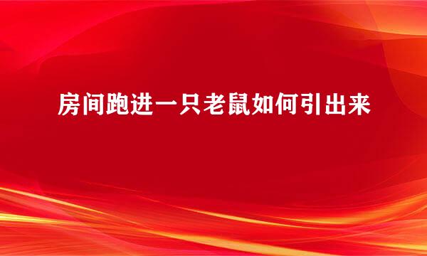 房间跑进一只老鼠如何引出来