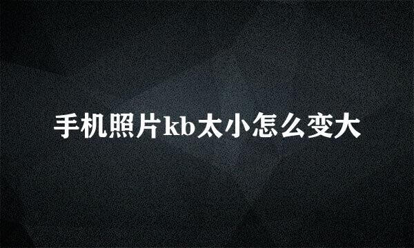 手机照片kb太小怎么变大