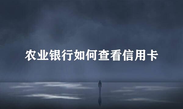 农业银行如何查看信用卡