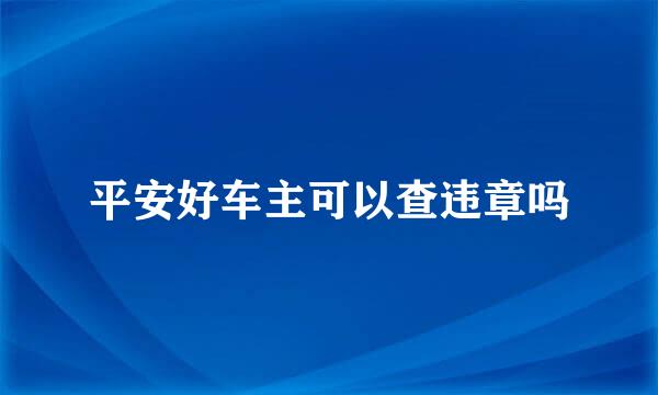 平安好车主可以查违章吗