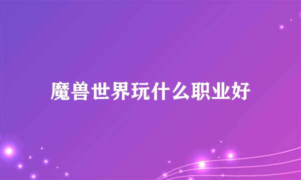 魔兽世界玩什么职业好