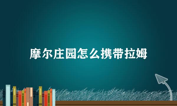 摩尔庄园怎么携带拉姆