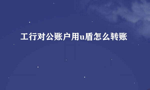 工行对公账户用u盾怎么转账