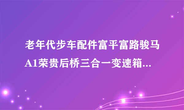 老年代步车配件富平富路骏马A1荣贵后桥三合一变速箱倒档器总成怎样分离