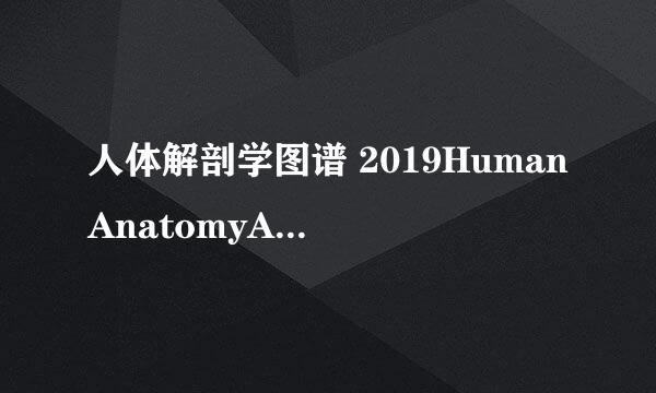 人体解剖学图谱 2019HumanAnatomyAtlas这样安装