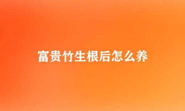 富贵竹生根后怎么养