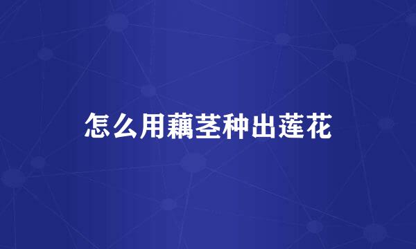怎么用藕茎种出莲花