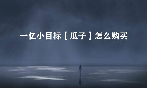 一亿小目标【瓜子】怎么购买