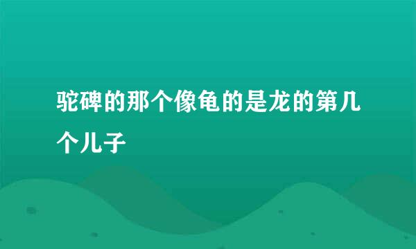 驼碑的那个像龟的是龙的第几个儿子