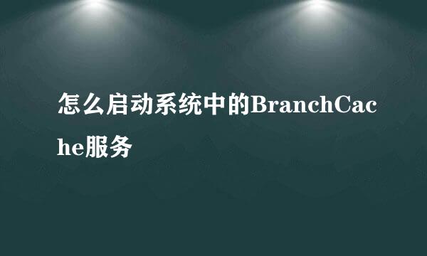 怎么启动系统中的BranchCache服务