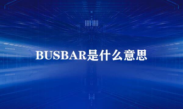 BUSBAR是什么意思
