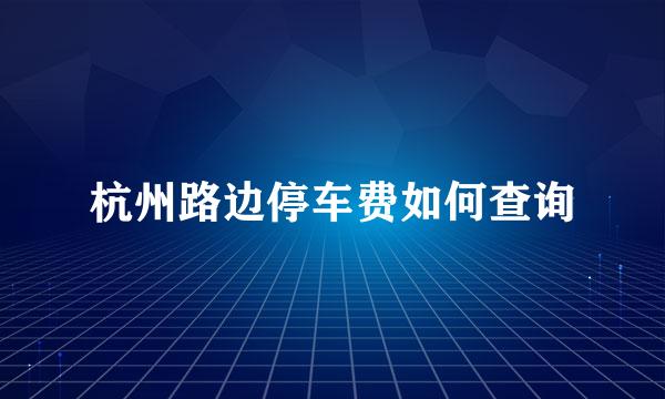 杭州路边停车费如何查询