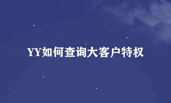 YY如何查询大客户特权