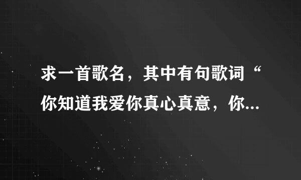 求一首歌名，其中有句歌词“你知道我爱你真心真意，你知道我永远都不放弃...”