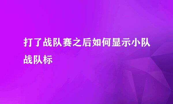 打了战队赛之后如何显示小队战队标