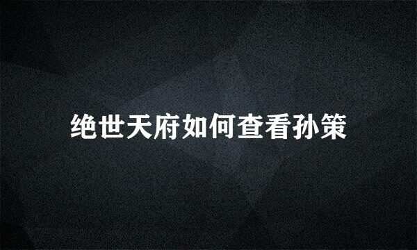 绝世天府如何查看孙策