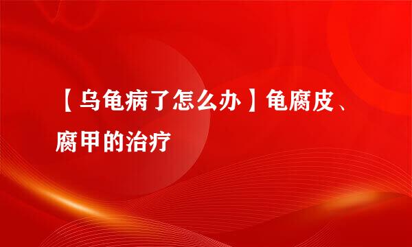【乌龟病了怎么办】龟腐皮、腐甲的治疗