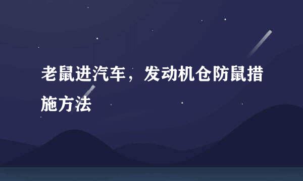 老鼠进汽车，发动机仓防鼠措施方法
