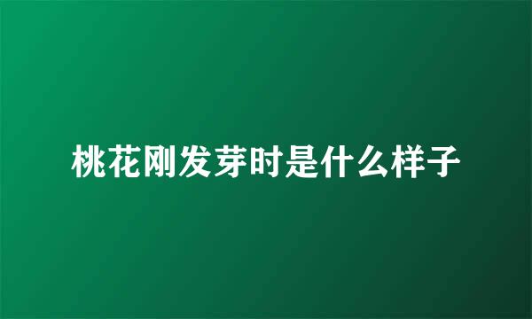 桃花刚发芽时是什么样子