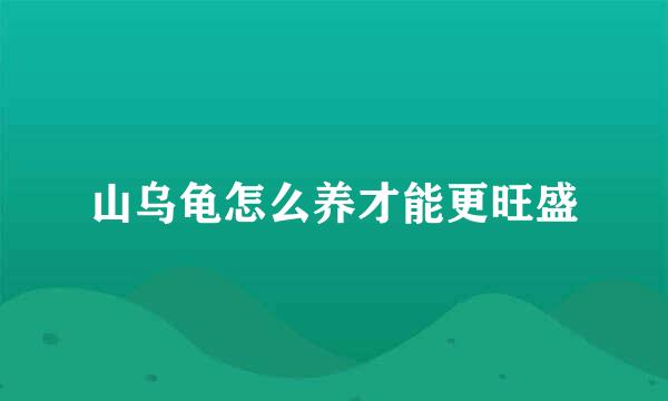山乌龟怎么养才能更旺盛