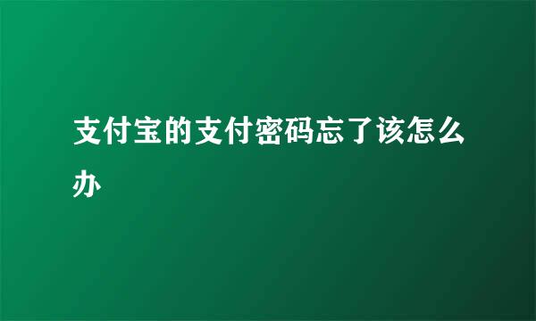 支付宝的支付密码忘了该怎么办