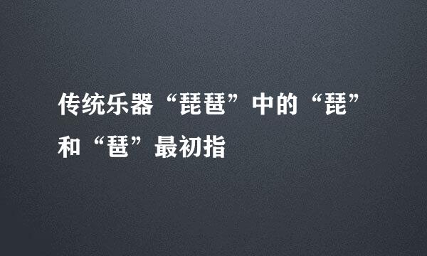 传统乐器“琵琶”中的“琵”和“琶”最初指