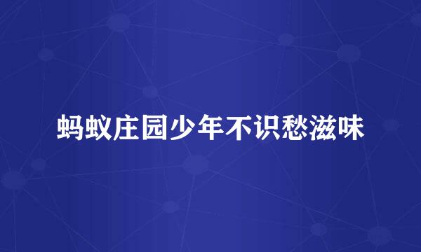 蚂蚁庄园少年不识愁滋味