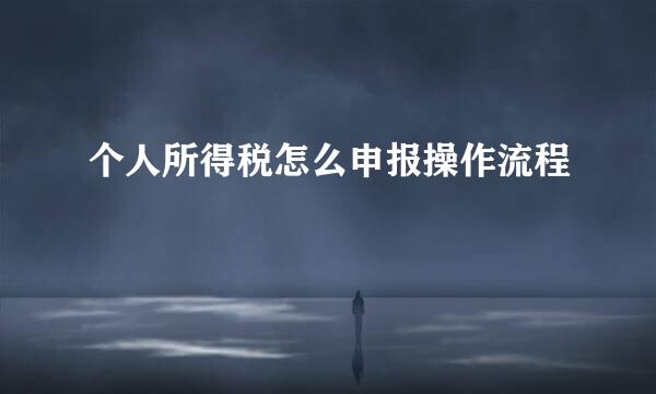 个人所得税怎么申报操作流程
