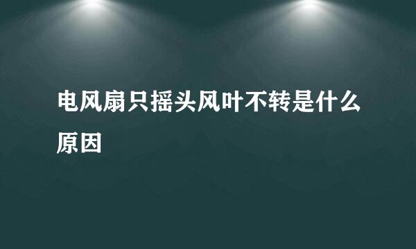 电风扇只摇头风叶不转是什么原因