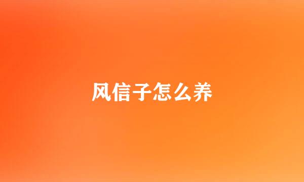 风信子怎么养