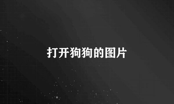 打开狗狗的图片